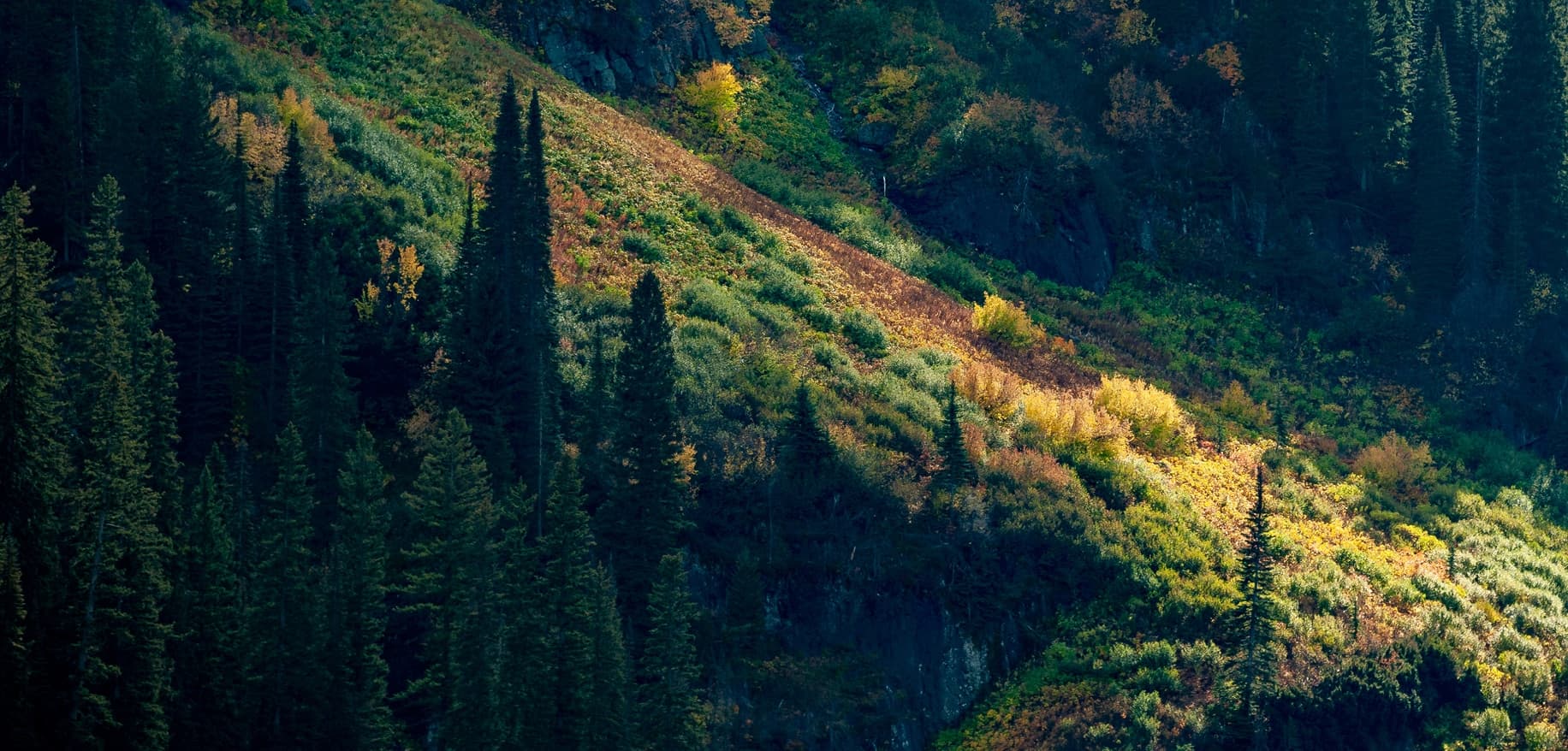 Neil McSherry Joins Mission Underwriters as Head of Country for Ireland